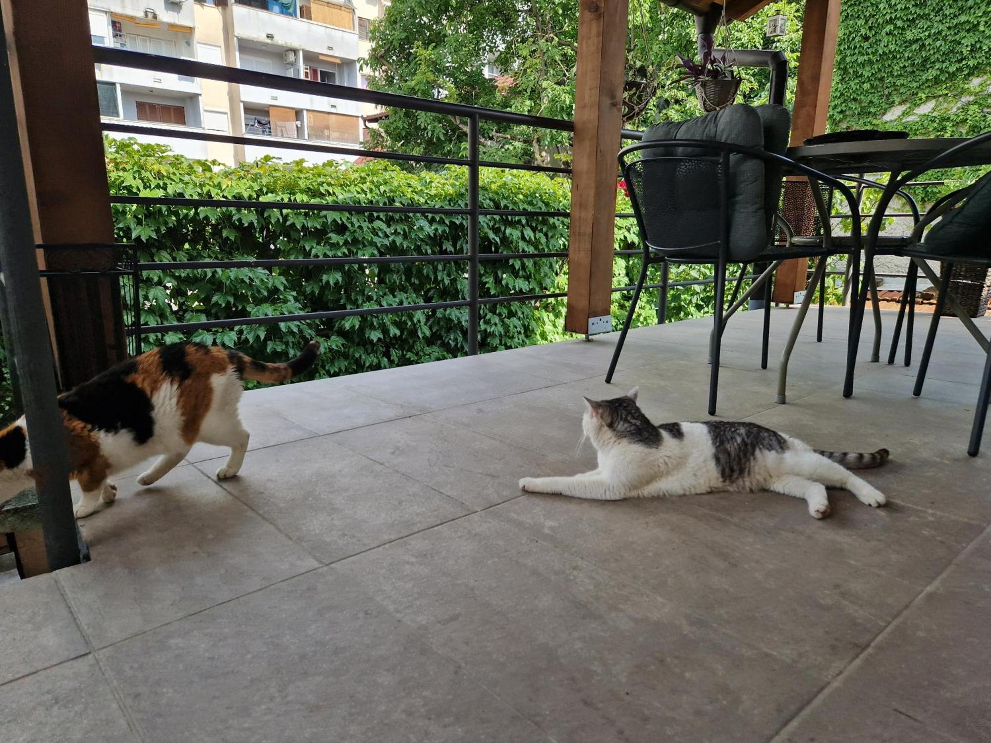 Apartman Dubravka Ζάγκρεμπ Εξωτερικό φωτογραφία